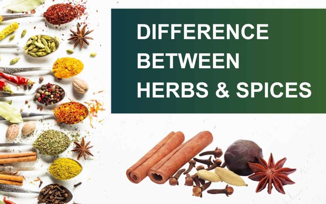 Difference Between Herbs And Spices