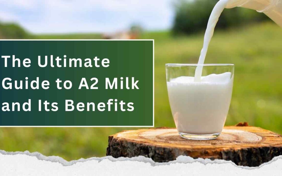 The Ultimate Guide To A2 Milk And Its Benefits