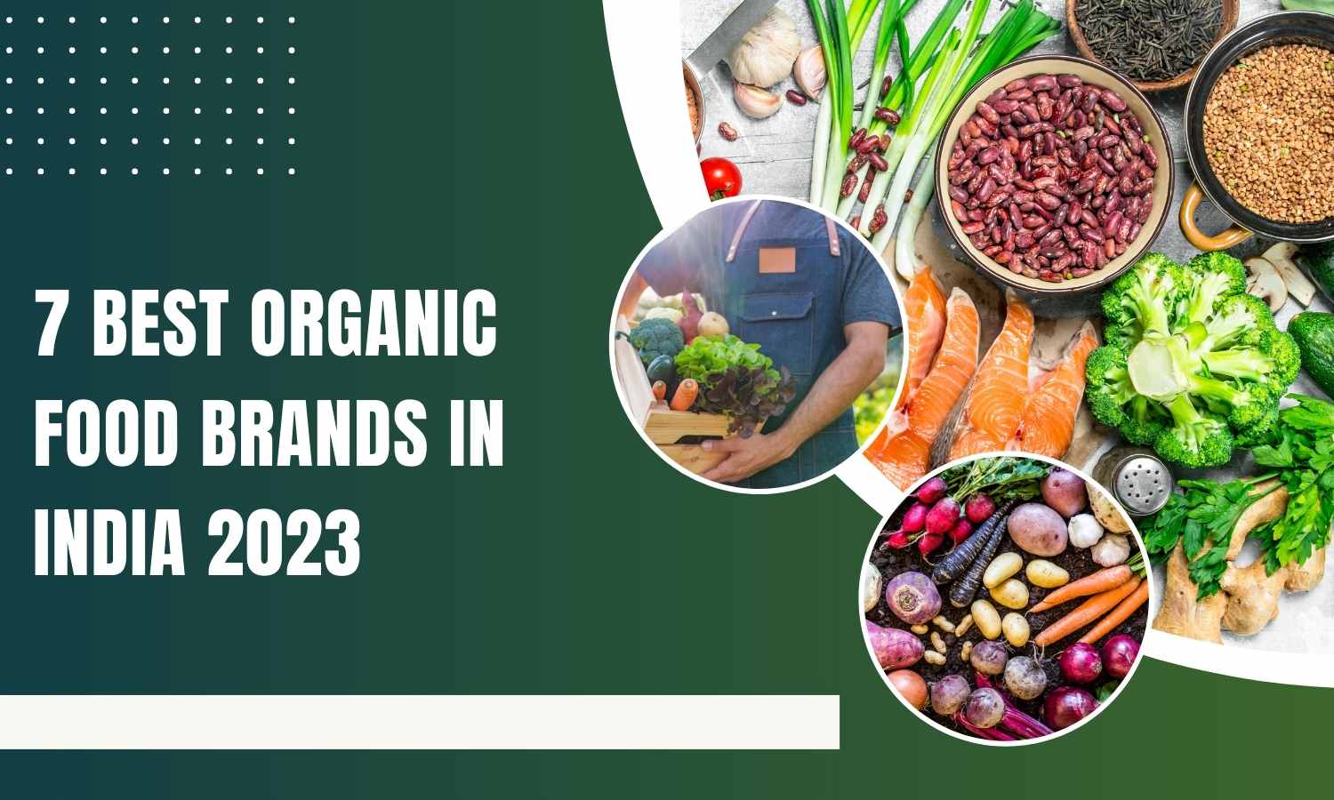 7-best-organic-food-brands-in-india-2023