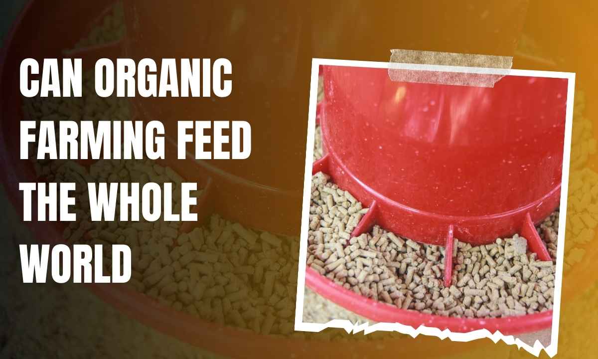 Can Organic Farming Feed The Whole World