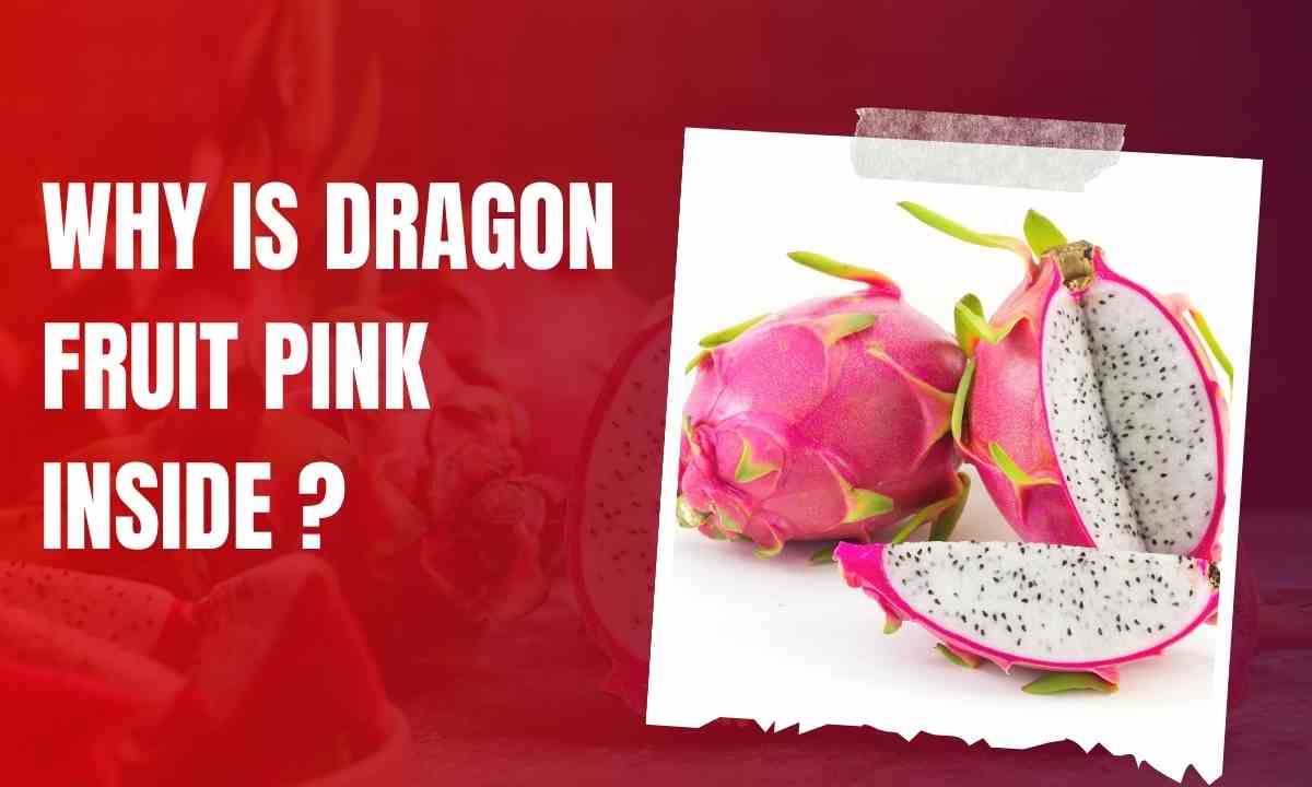 Which fruit is pink on the outside but white on the inside? - Quora