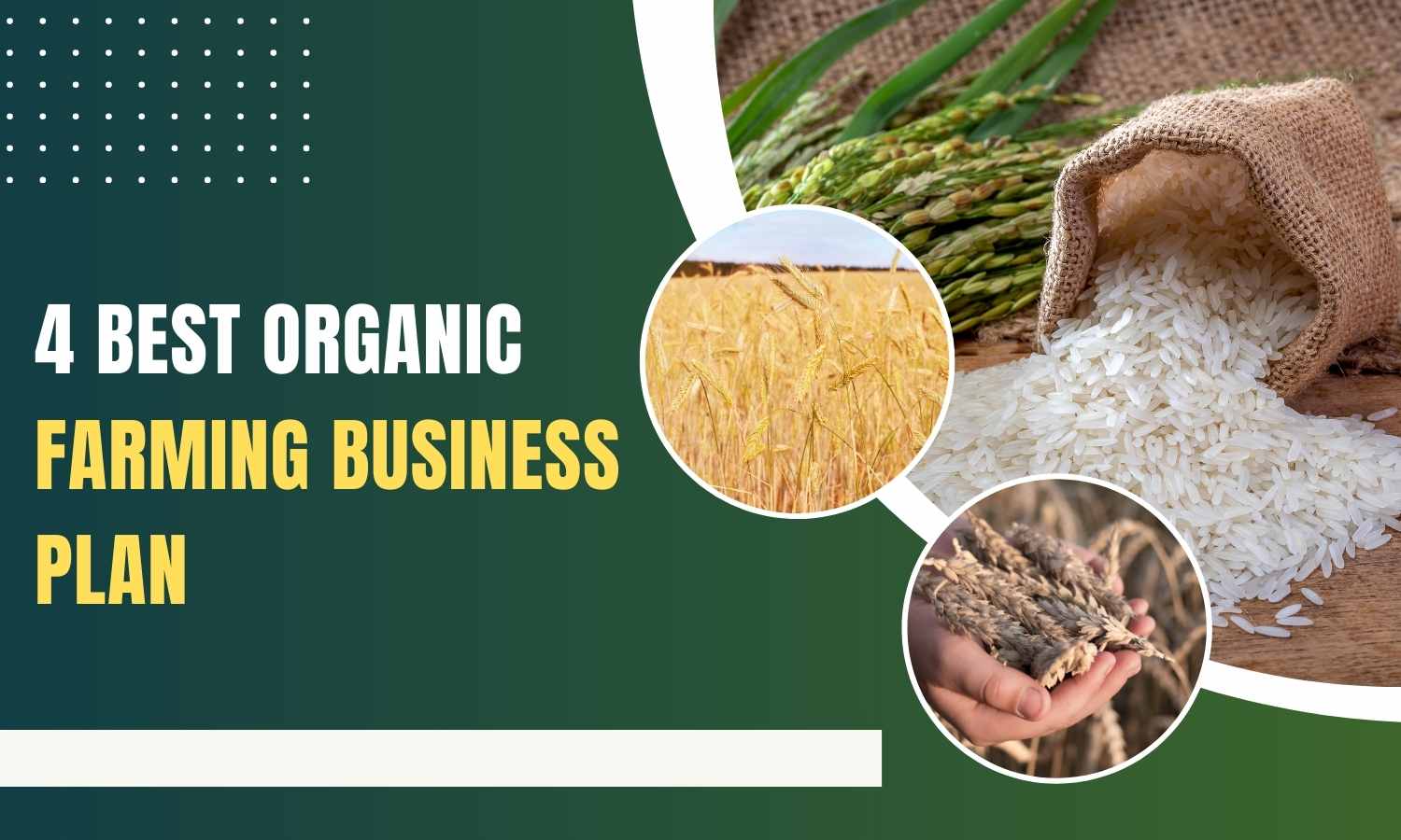 organic farming business plan philippines