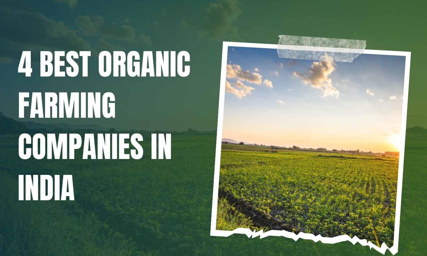 List Of Organic Farming Companies In India