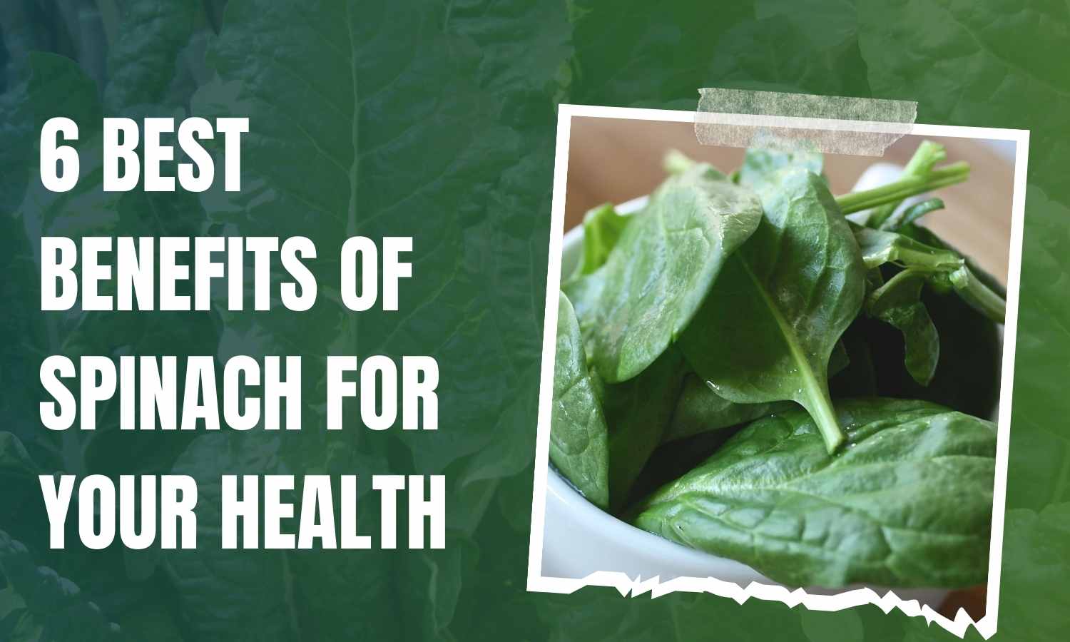 6 Best Benefits Of Spinach For Your Health